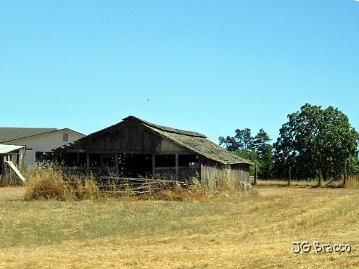 DSC03481.JPG - West Sonoma County