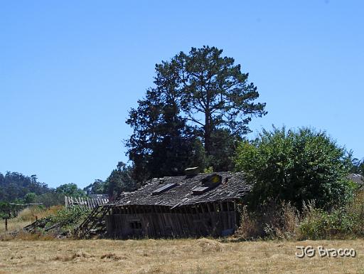 DSC03482.JPG - West Sonoma County