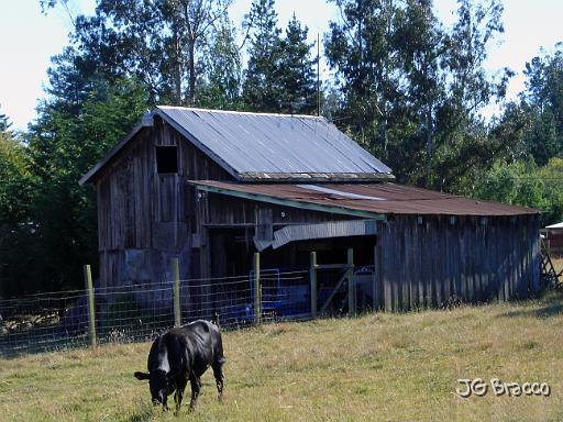 DSC03570.JPG - West Petaluma