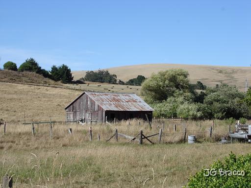 DSC03617.JPG - West Sonoma County