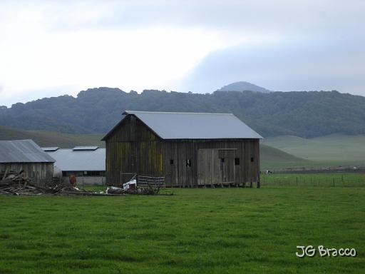 DSC05968.JPG - Petaluma