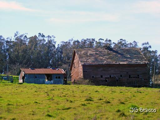 DSC06167.JPG - Petaluma