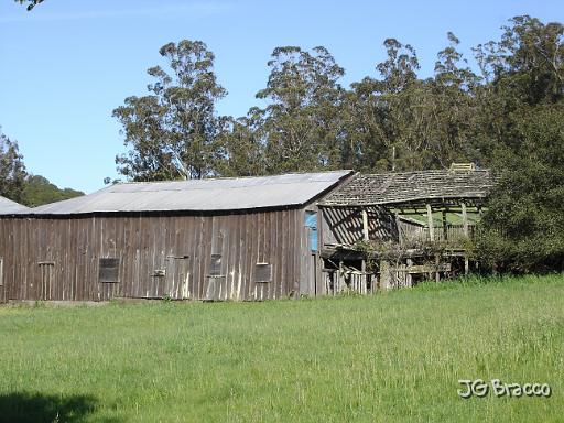 DSC06169.JPG - Petaluma