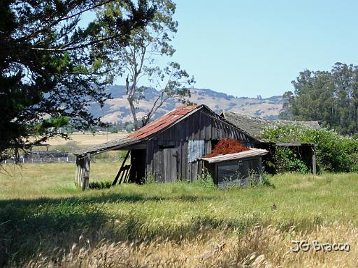 DSC06570.JPG - Penngrove