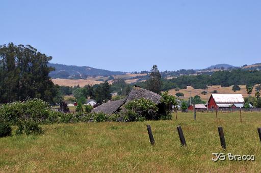 DSC06571.tif - Penngrove