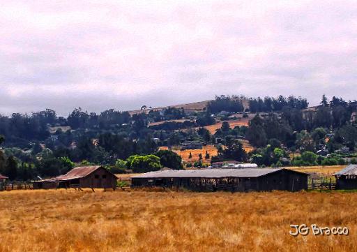 DSC10383-c1.tif - Petaluma