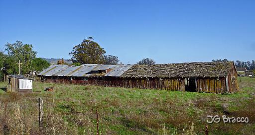 DSC11763-4-o.tif - Petaluma