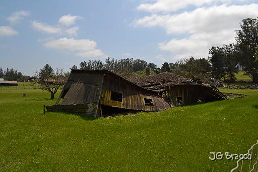 DSC28903.JPG - Cotati