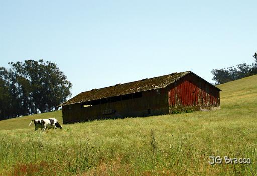 DSC03025.tif - Petaluma