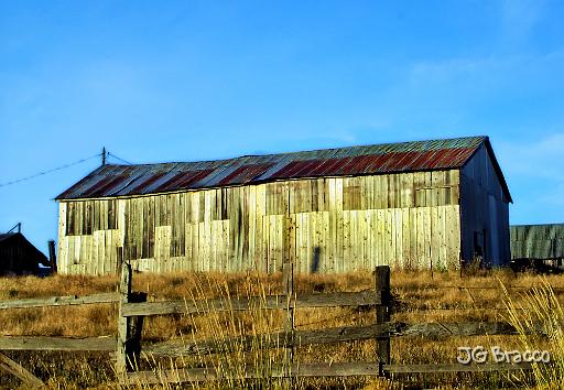 DSC03364.tif - Cotati