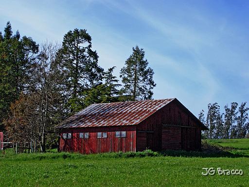 DSC06184.tif - Petaluma