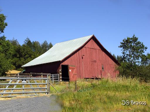 DSC03275-c1.tif - Near Geyserville