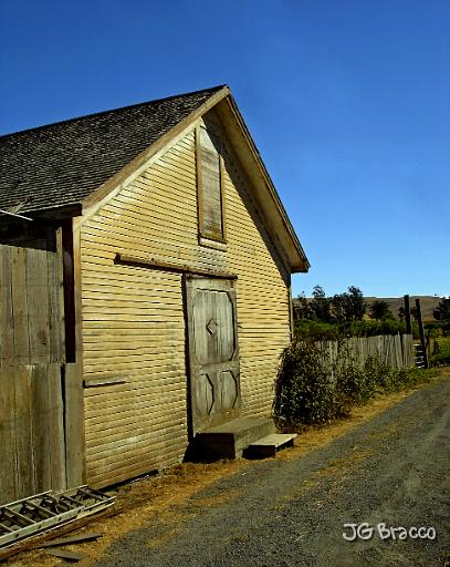 DSC03555-c1.tif - Barn Door, Valley Ford