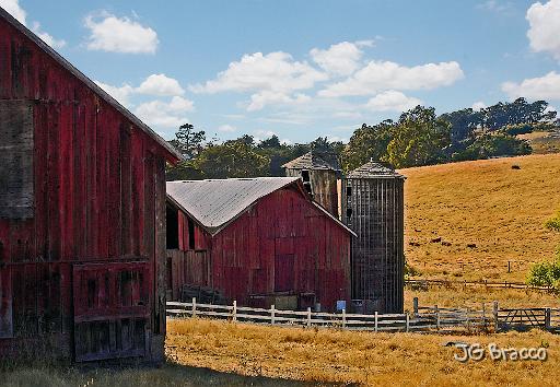 DSC03604-v2.tif - Tomales (Marin)