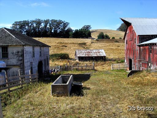 DSC03610.tif - Tomales (Marin)