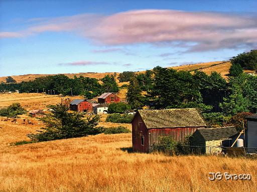 DSC03622.tif - Tomales Valley Ranch (Marin)