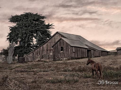 DSC03631.tif - Marshall