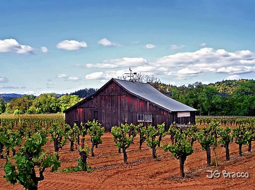 DSC06386.tif - West Dry Creek Vineyard