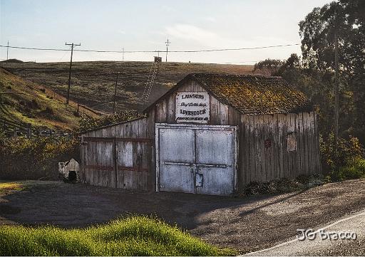 DSC27734.tif - Livestock Barn