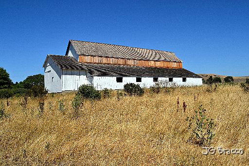 DSC29694.tif - Giacomini Ranch, Point Reyes Station