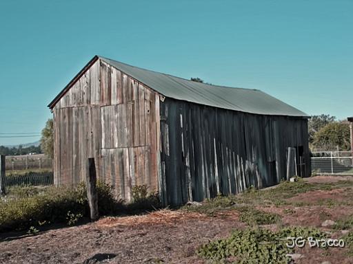 DSC00869.tif - Petaluma