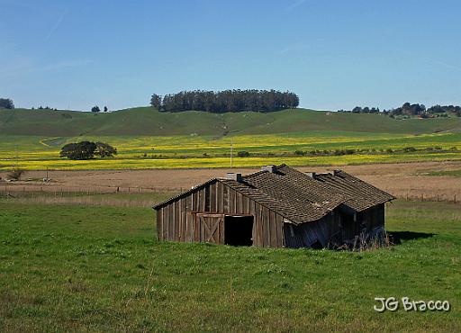 ESC06153.tif - Petaluma