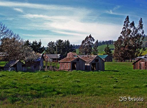 ESC06155.tif - Petaluma