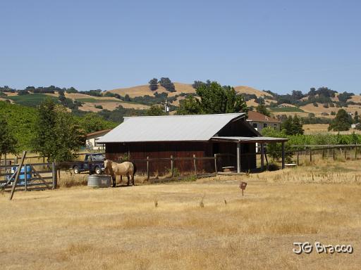 DSC03271.JPG -                                Healdsburg