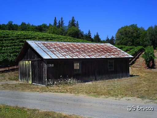 DSC04267.tif - Graton