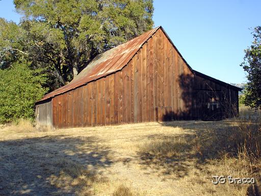 DSC04369.JPG -                                Sebastopol