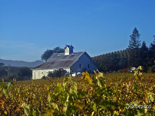 DSC08200.tif - Napa Vineyard Barn