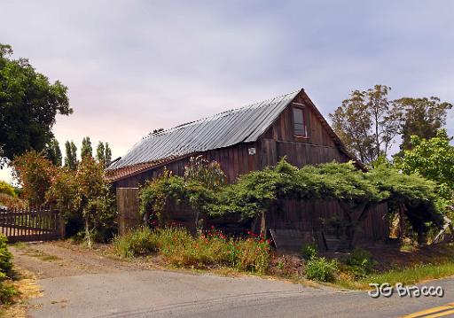 DSC10395-7-o_b.tif - Petaluma