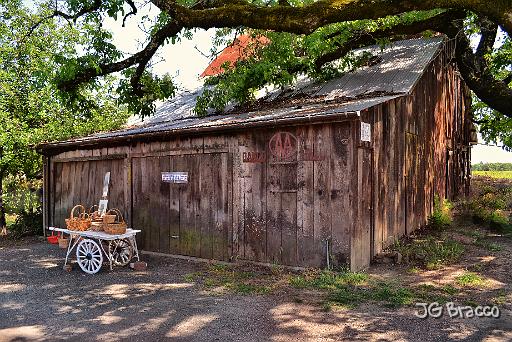 DSC29099.tif - Healdsburg